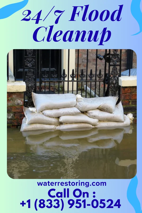 24/7 Flood Cleanup in Laguna Beach, FL