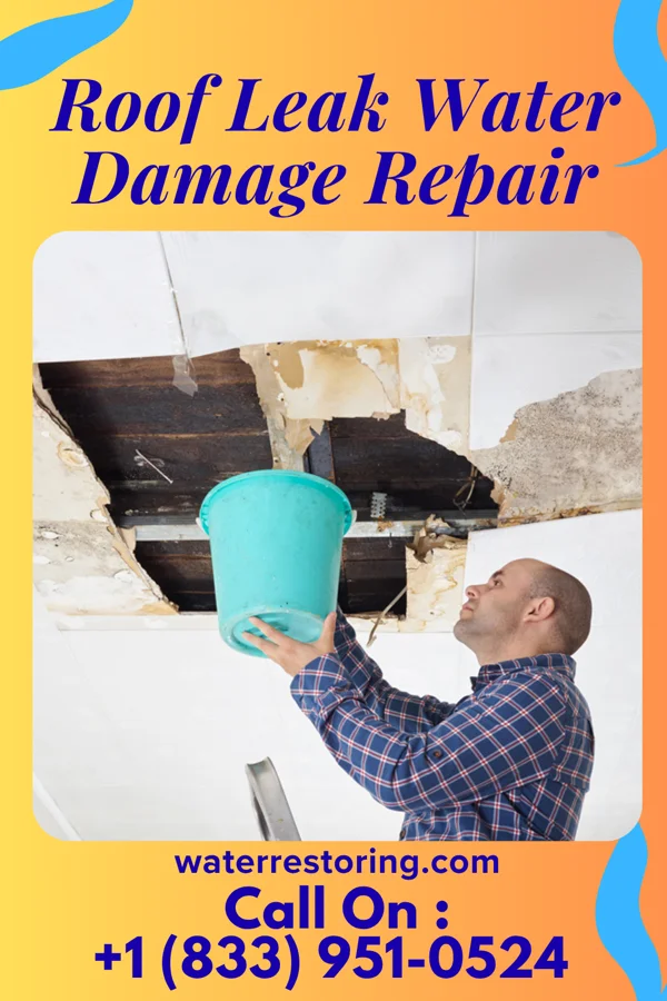 Roof Leak Water Damage Repair in Laguna Beach, FL